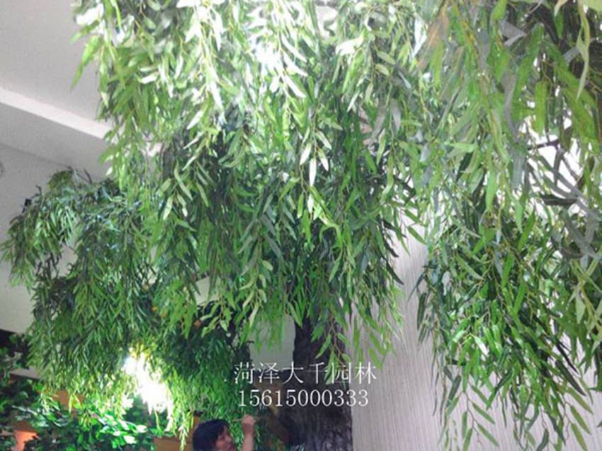 點擊查看詳細信息<br>標題：假樹 閱讀次數：1480