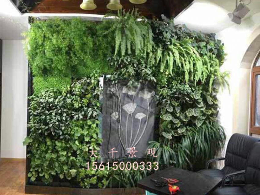 點擊查看詳細信息<br>標題：綠植墻 閱讀次數：1866