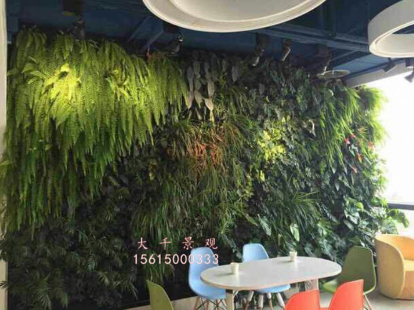 點(diǎn)擊查看詳細(xì)信息<br>標(biāo)題：綠植墻 閱讀次數(shù)：2067